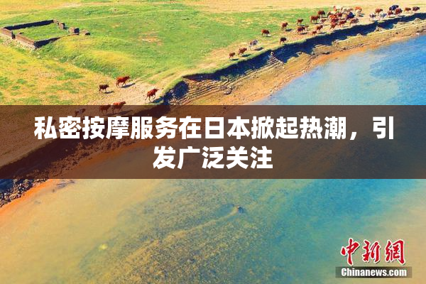 私密按摩服务在日本掀起热潮，引发广泛关注