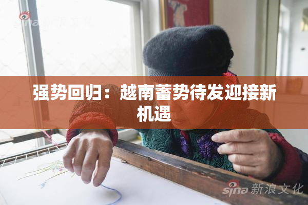 强势回归：越南蓄势待发迎接新机遇