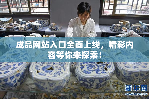 成品网站入口全面上线，精彩内容等你来探索！