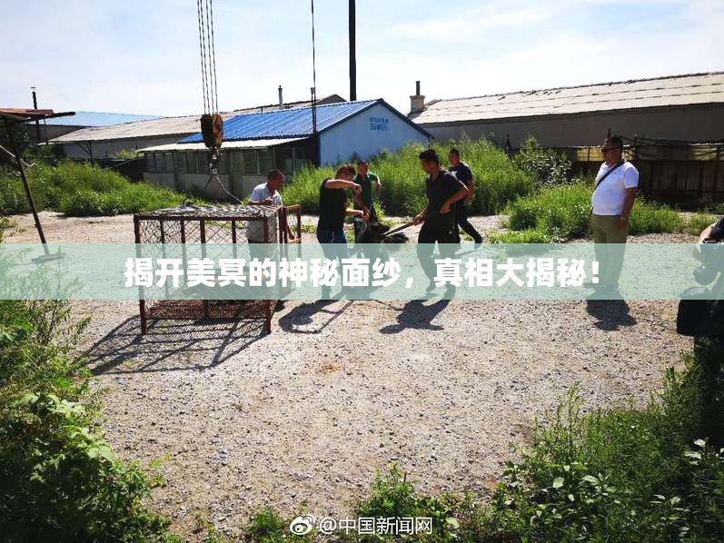 揭开美冥的神秘面纱，真相大揭秘！