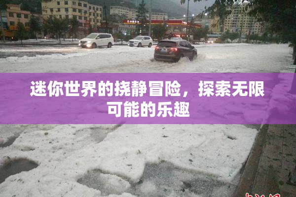 迷你世界的挠静冒险，探索无限可能的乐趣