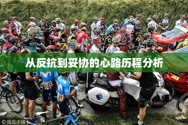 从反抗到妥协的心路历程分析