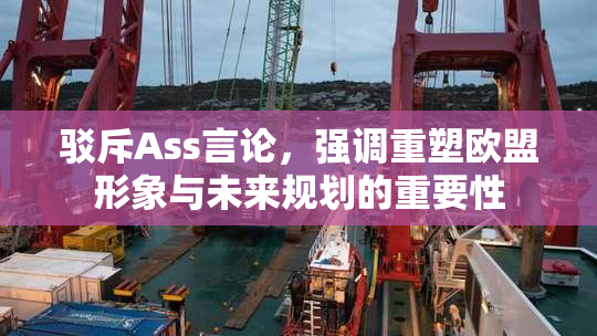 驳斥Ass言论，强调重塑欧盟形象与未来规划的重要性