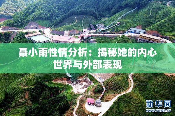 聂小雨性情分析：揭秘她的内心世界与外部表现