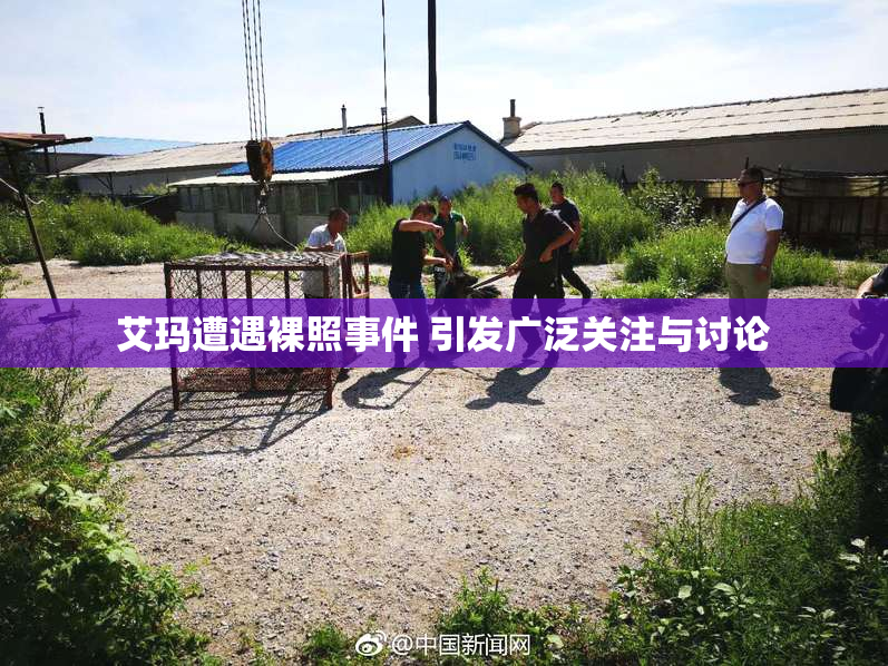 艾玛遭遇裸照事件 引发广泛关注与讨论