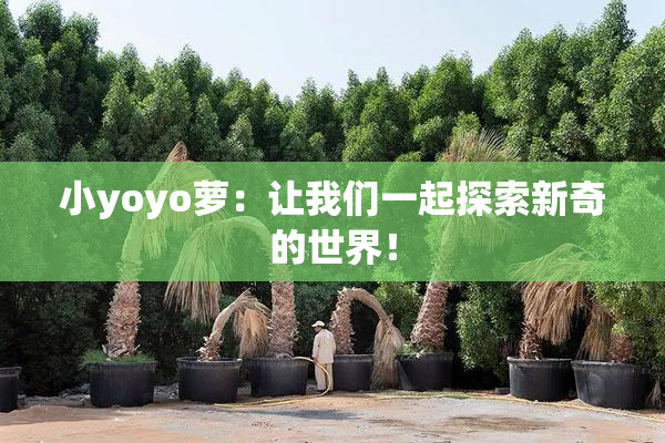 小yoyo萝：让我们一起探索新奇的世界！