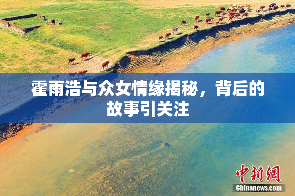 霍雨浩与众女情缘揭秘，背后的故事引关注