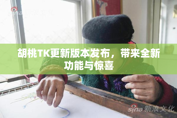 胡桃TK更新版本发布，带来全新功能与惊喜