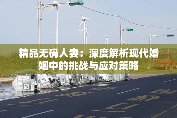 精品无码人妻：深度解析现代婚姻中的挑战与应对策略