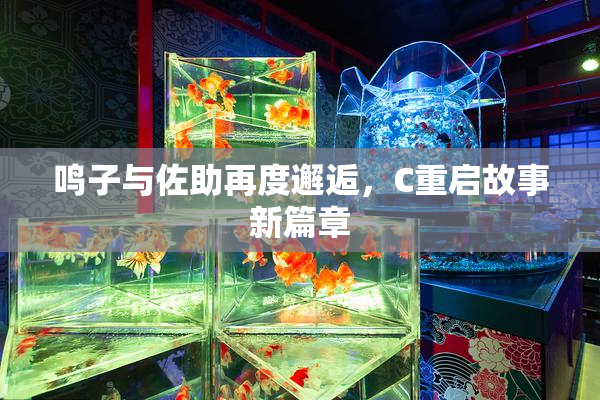 鸣子与佐助再度邂逅，C重启故事新篇章