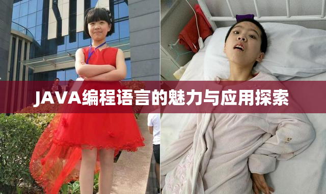 JAVA编程语言的魅力与应用探索
