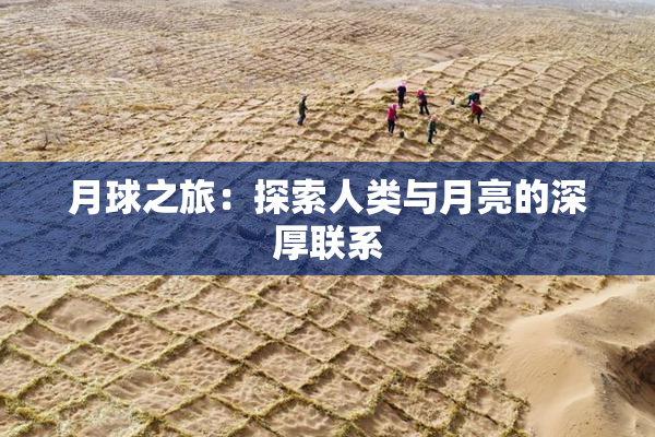 月球之旅：探索人类与月亮的深厚联系