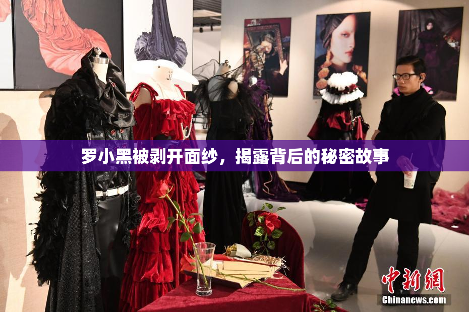 罗小黑被剥开面纱，揭露背后的秘密故事