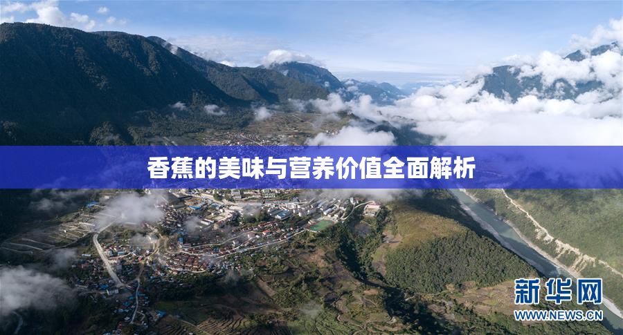香蕉的美味与营养价值全面解析