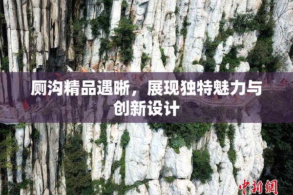 厕沟精品遇晰，展现独特魅力与创新设计