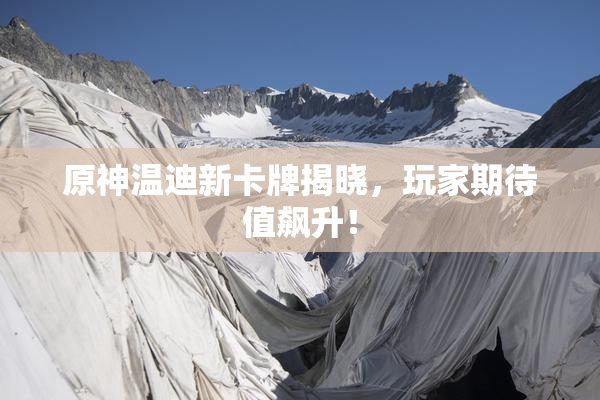 原神温迪新卡牌揭晓，玩家期待值飙升！