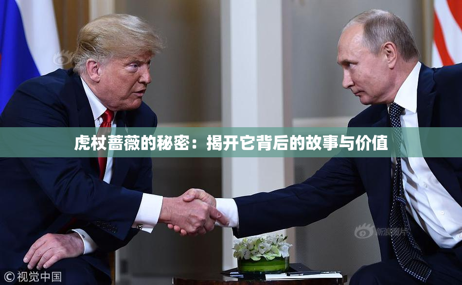 虎杖蔷薇的秘密：揭开它背后的故事与价值