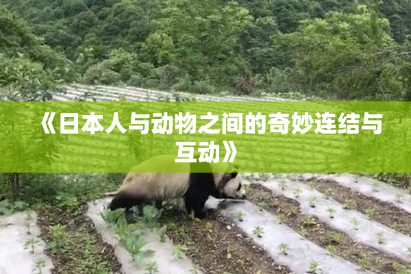 《日本人与动物之间的奇妙连结与互动》