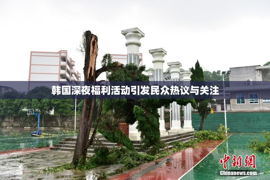 韩国深夜福利活动引发民众热议与关注