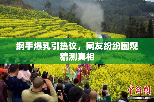 纲手爆乳引热议，网友纷纷围观猜测真相
