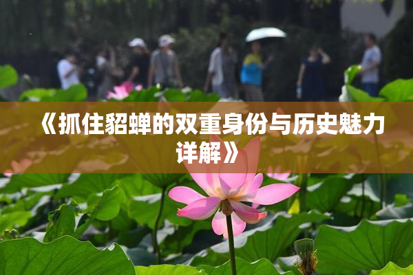 《抓住貂蝉的双重身份与历史魅力详解》