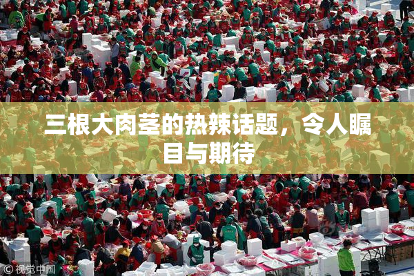 三根大肉茎的热辣话题，令人瞩目与期待