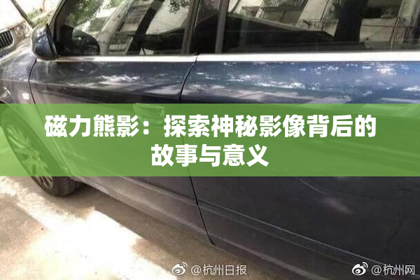 磁力熊影：探索神秘影像背后的故事与意义