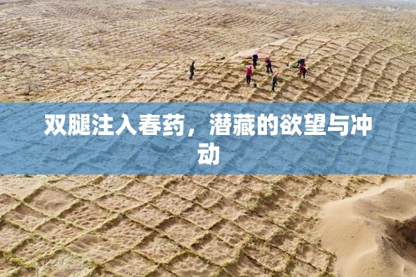 双腿注入春药，潜藏的欲望与冲动