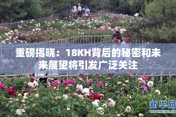 重磅揭晓：18KH背后的秘密和未来展望将引发广泛关注