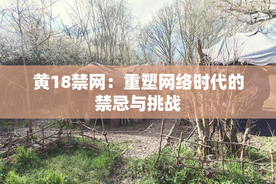 黄18禁网：重塑网络时代的禁忌与挑战