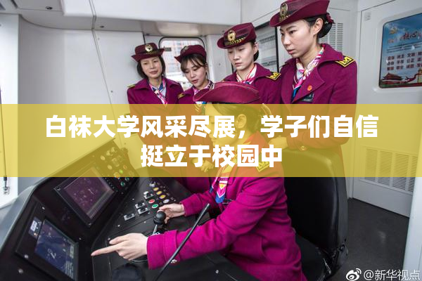 白袜大学风采尽展，学子们自信挺立于校园中