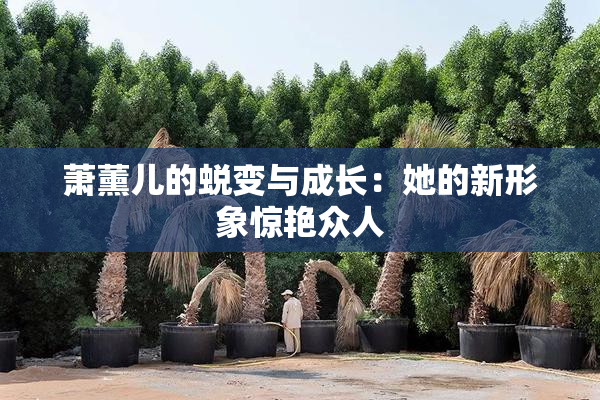 萧薰儿的蜕变与成长：她的新形象惊艳众人