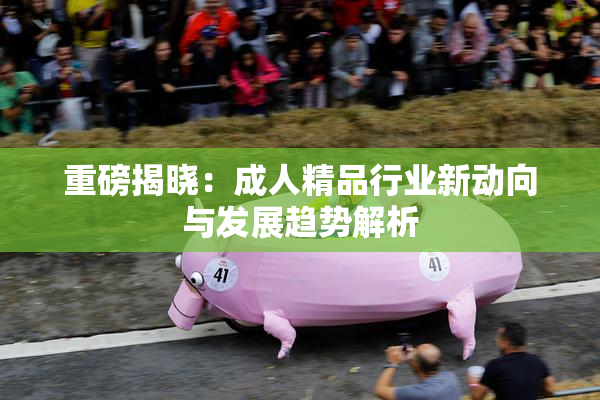 重磅揭晓：成人精品行业新动向与发展趋势解析
