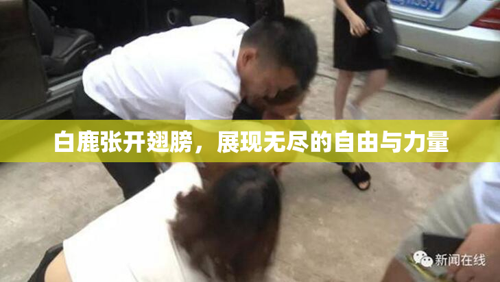 白鹿张开翅膀，展现无尽的自由与力量
