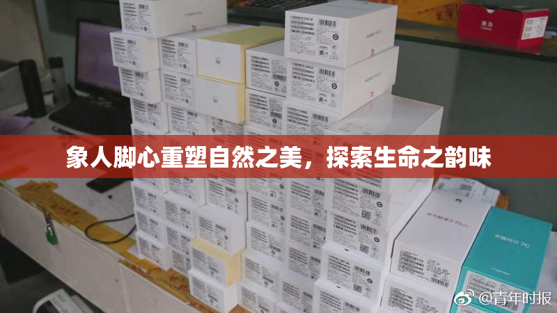 象人脚心重塑自然之美，探索生命之韵味