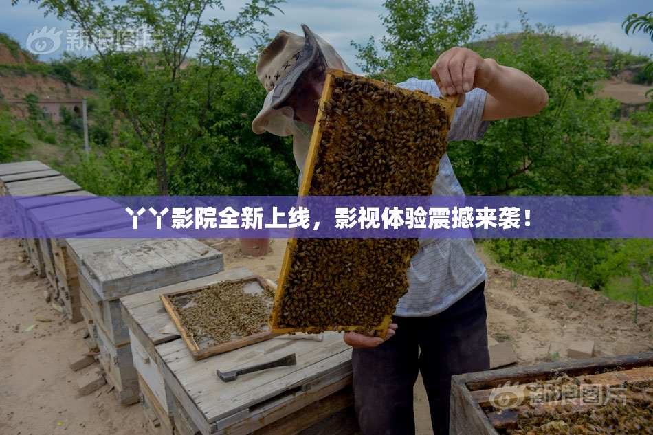 丫丫影院全新上线，影视体验震撼来袭！