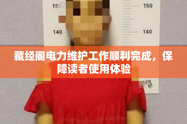 藏经阁电力维护工作顺利完成，保障读者使用体验
