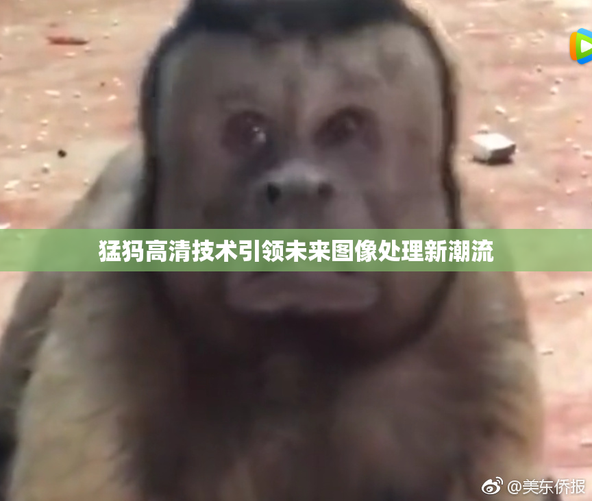 猛犸高清技术引领未来图像处理新潮流