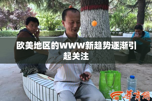 欧美地区的WWW新趋势逐渐引起关注