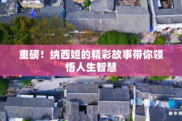 重磅！纳西妲的精彩故事带你领悟人生智慧