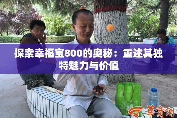 探索幸福宝800的奥秘：重述其独特魅力与价值
