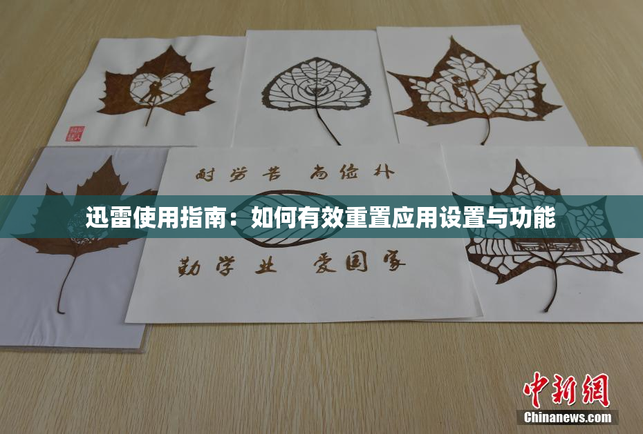 迅雷使用指南：如何有效重置应用设置与功能