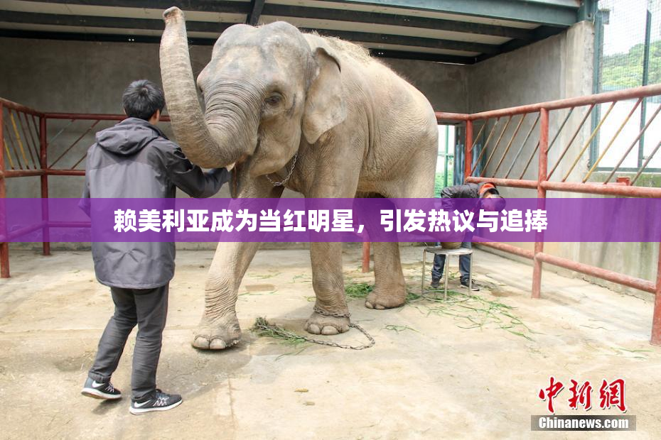 赖美利亚成为当红明星，引发热议与追捧