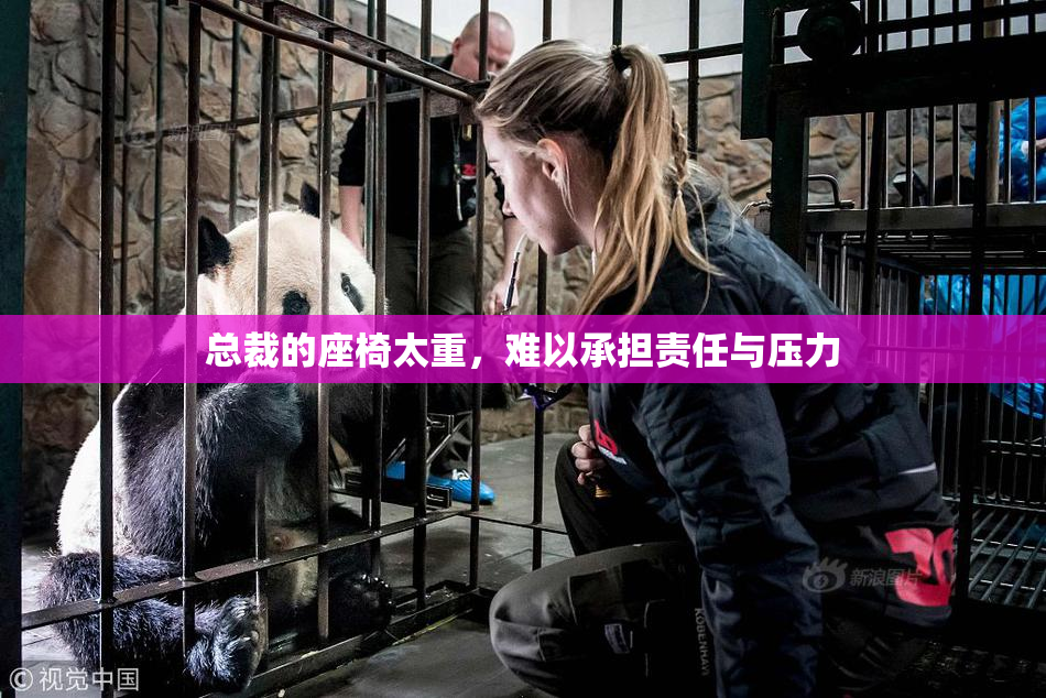 总裁的座椅太重，难以承担责任与压力
