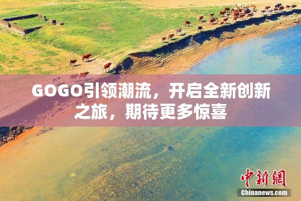 GOGO引领潮流，开启全新创新之旅，期待更多惊喜