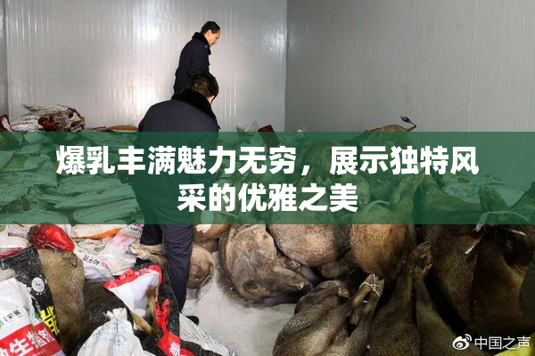 爆乳丰满魅力无穷，展示独特风采的优雅之美