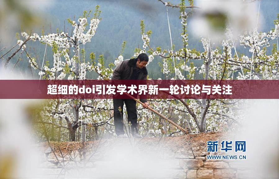 超细的doi引发学术界新一轮讨论与关注