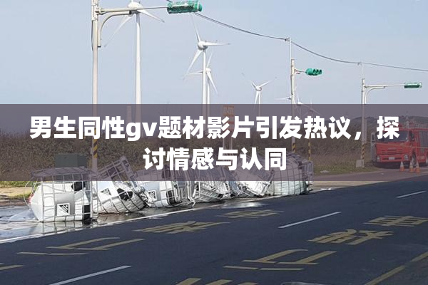 男生同性gv题材影片引发热议，探讨情感与认同