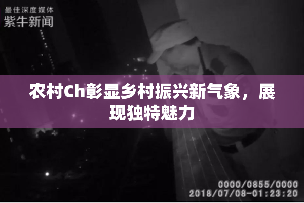 农村Ch彰显乡村振兴新气象，展现独特魅力
