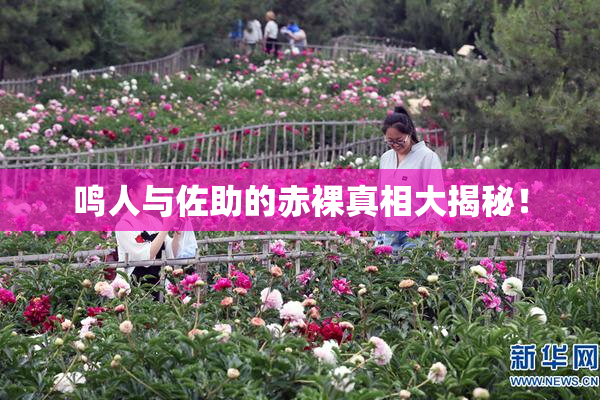 鸣人与佐助的赤裸真相大揭秘！
